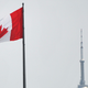 Image for article titled Canada Fines 2 Idiots Traveling From the U.S. $20,000 for Faking Their Vaccine Status and Covid-19 Tests